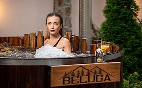 Beluga Guest House